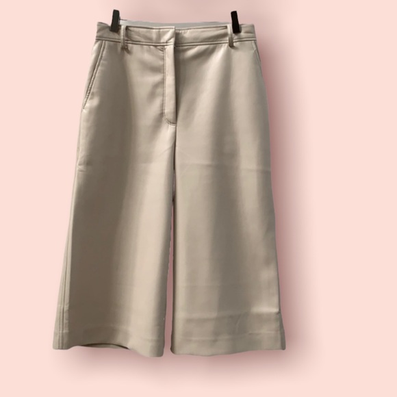 Aritzia Pants - ❗️SOLD❗️ Babaton Long Wide-Leg Short Pants Size 6